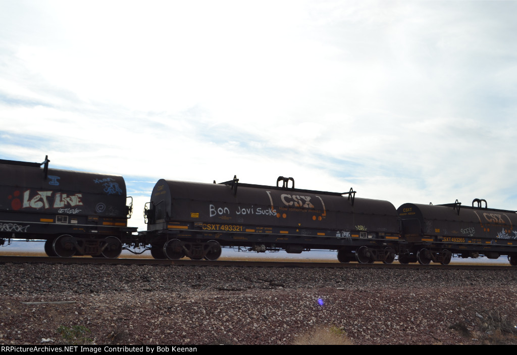 CSXT 493321